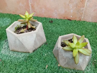 Mini vasi di cemento