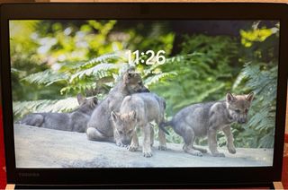 Portátil Toshiba Portege A30-C-1D0