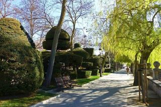 Local comercial en venta en Centro en Burgos