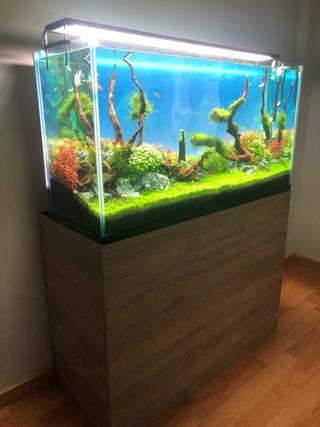 Acuario 300L con mueble roble cambrian