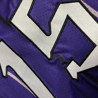 Camiseta Toronto Raptors Vince Carter 15