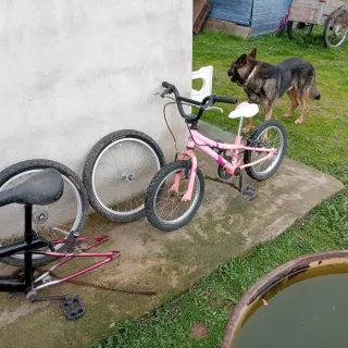 Bicicleta BMX Negra y Roja