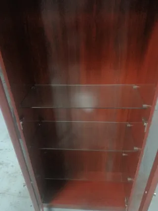 Vitrina moderna de madera y cristal