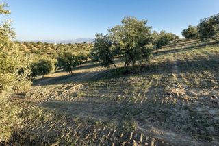 Terreno en venta en Aljomahima - Ermita en Gabias (Las)