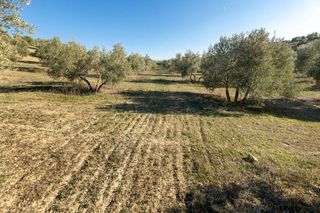 Terreno en venta en Aljomahima - Ermita en Gabias (Las)