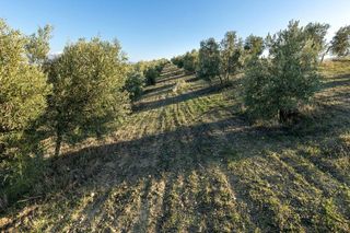 Terreno en venta en Aljomahima - Ermita en Gabias (Las)