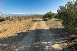 Terreno en venta en Aljomahima - Ermita en Gabias (Las)