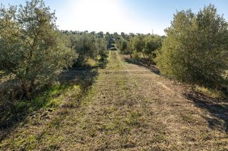 Terreno en venta en Aljomahima - Ermita en Gabias (Las)