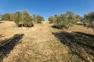 Terreno en venta en Aljomahima - Ermita en Gabias (Las)