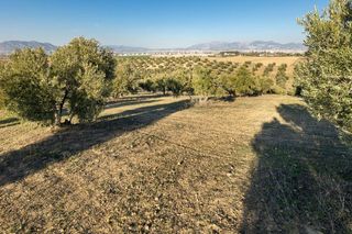 Terreno en venta en Aljomahima - Ermita en Gabias (Las)
