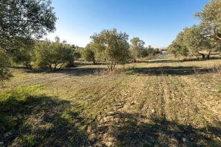 Terreno en venta en Aljomahima - Ermita en Gabias (Las)