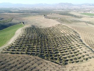 Terreno en venta en Aljomahima - Ermita en Gabias (Las)