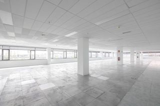 Oficina en alquiler en El Caño - Maracaibo en Rozas de Madrid (Las)