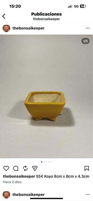 Maceta Koyo cerámica amarilla