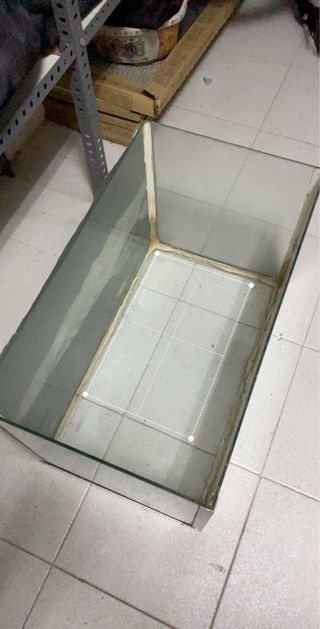 Terrario de cristal con marco plateado