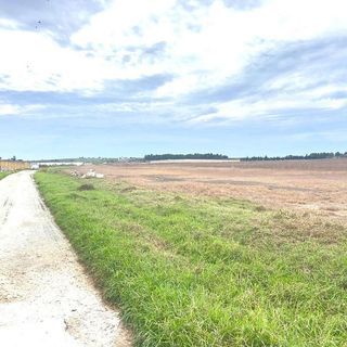 Terreno en venta en Las Palmeras-Dehesilla en Sanlúcar de Barrameda