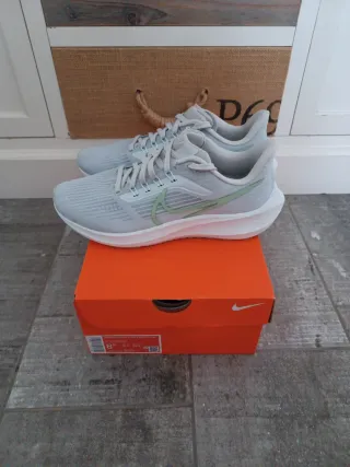 Nike Pegasus 40 Azul/Verde