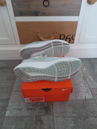 Nike Pegasus 40 Azul/Verde