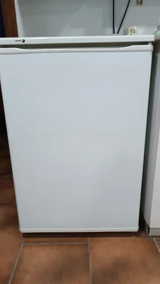Frigorífico Fagor FS-10