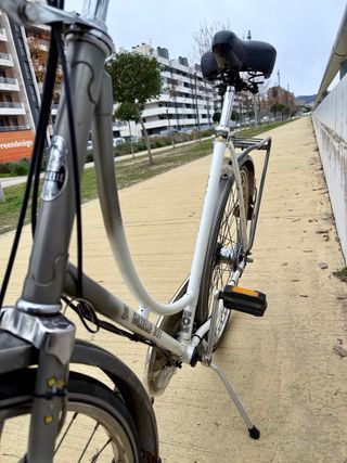 Bicicleta Holandesa Gazelle Premier CLASICA PASEO