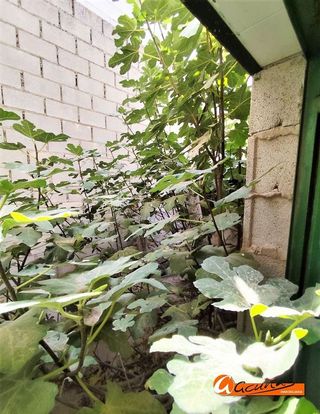 Garaje en venta en Alameda