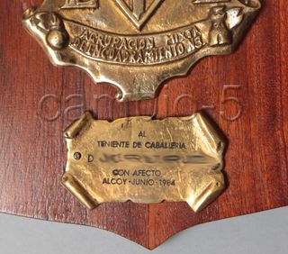 Metopa Agrupación Mixta Encuadramiento