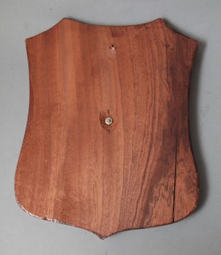 Metopa Agrupación Mixta Encuadramiento