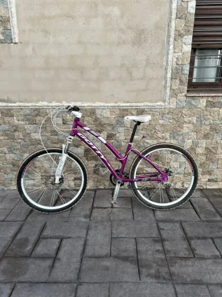 Bicicleta de montaña morada