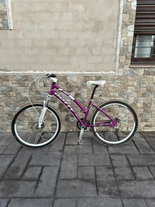 Bicicleta de montaña morada