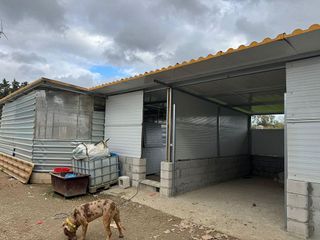 Terreno en venta en Barrios (Los)