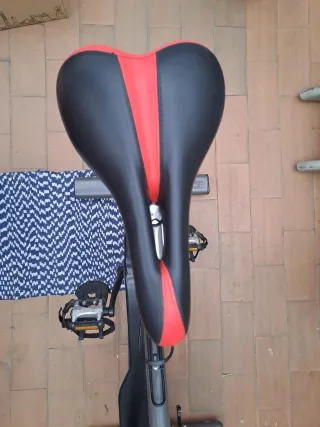 Bicicleta Spinning Indoor BESP-300