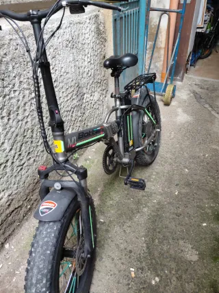 Bici elettrica Borsari