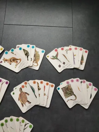 Juego de cartas Naturaleza 42 cartas