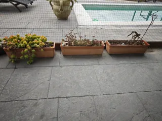 3 Jardineras con plantas crasas