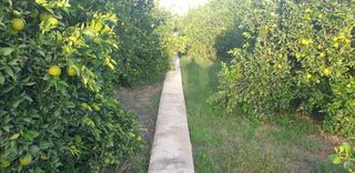 Solar en venta en Beniaján en Murcia