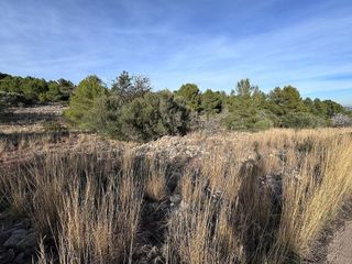 Solar en venta en Benissa