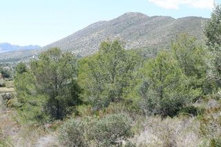 Solar en venta en Benissa