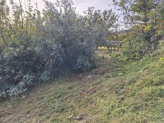 Terreno en venta en Alcover