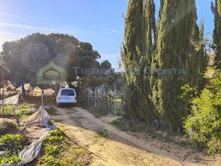 Masía en venta en Lepe ciudad en Lepe