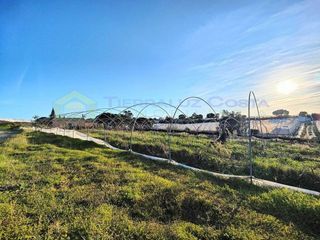 Masía en venta en Lepe ciudad en Lepe