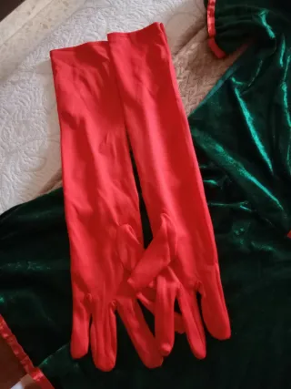 Disfraz Mujer Robin Talla Única