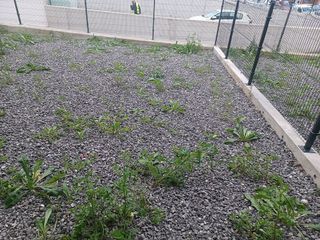 Local comercial en venta en Pumarín en Gijón