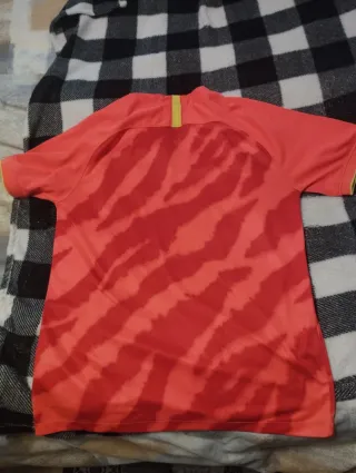 Camiseta Guangzhou Evergrande Nike Roja