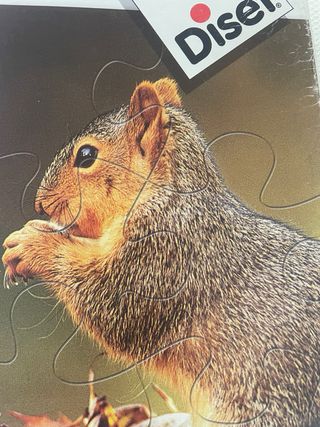 Puzzles Naturin Photo 4 piezas