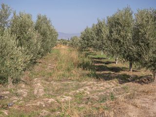 Terreno en venta en Otura