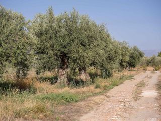 Terreno en venta en Otura