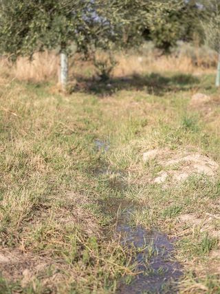 Terreno en venta en Otura