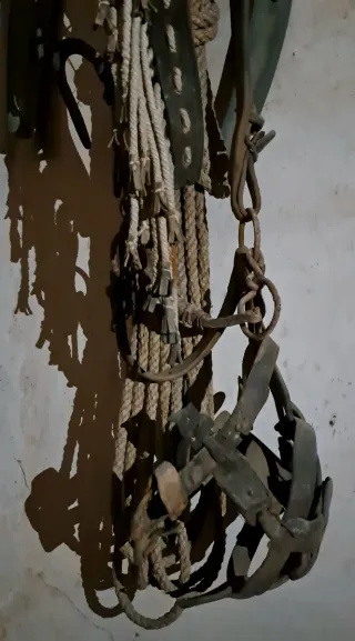 Arreos antiguos de mula