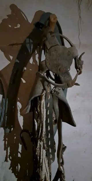 Arreos antiguos de mula