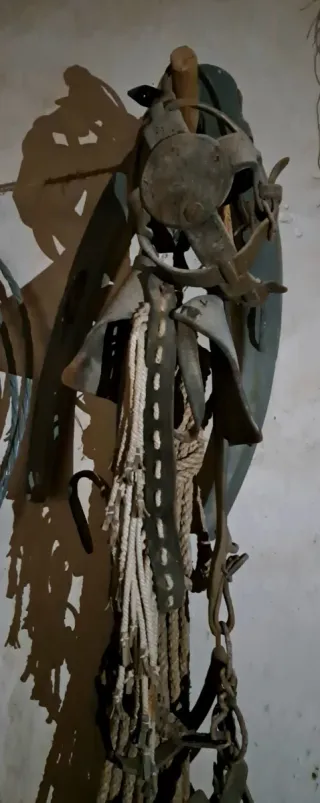 Arreos antiguos de mula